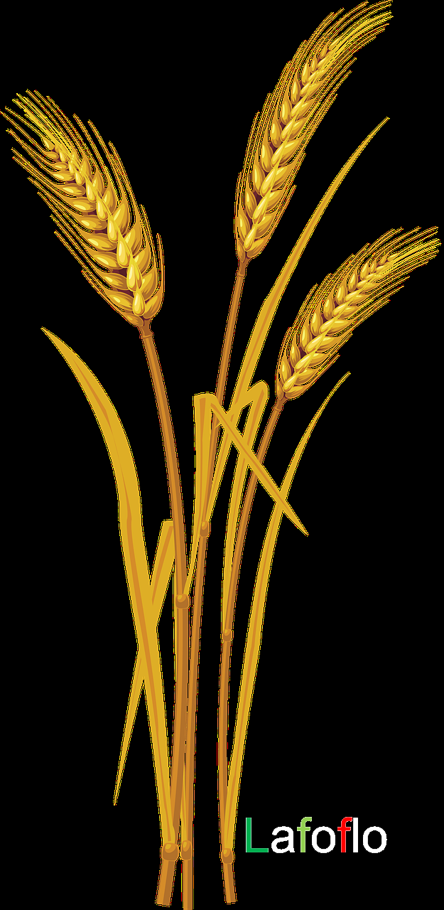 wheat-5480283_1280.png